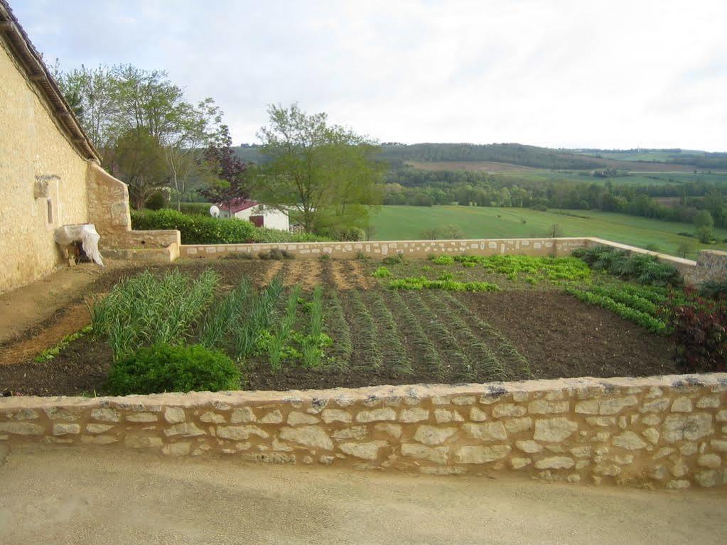 Chambre D'Hotes Domaine Le Castagne Auch Exterior photo